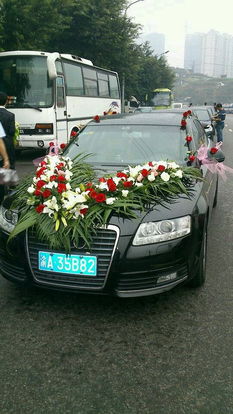 重庆沙坪坝租车服务全攻略 从旅游大巴到商务自驾与专业代驾一站式解决方案